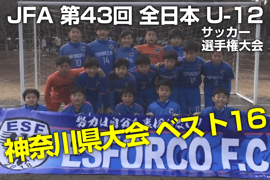JFA 第43回 全日本U-12サッカー選手権大会 神奈川県大会ベスト16
