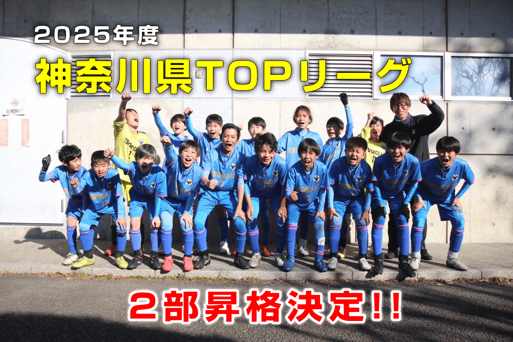 2025年度 神奈川県TOPリーグ 2部昇格決定!!